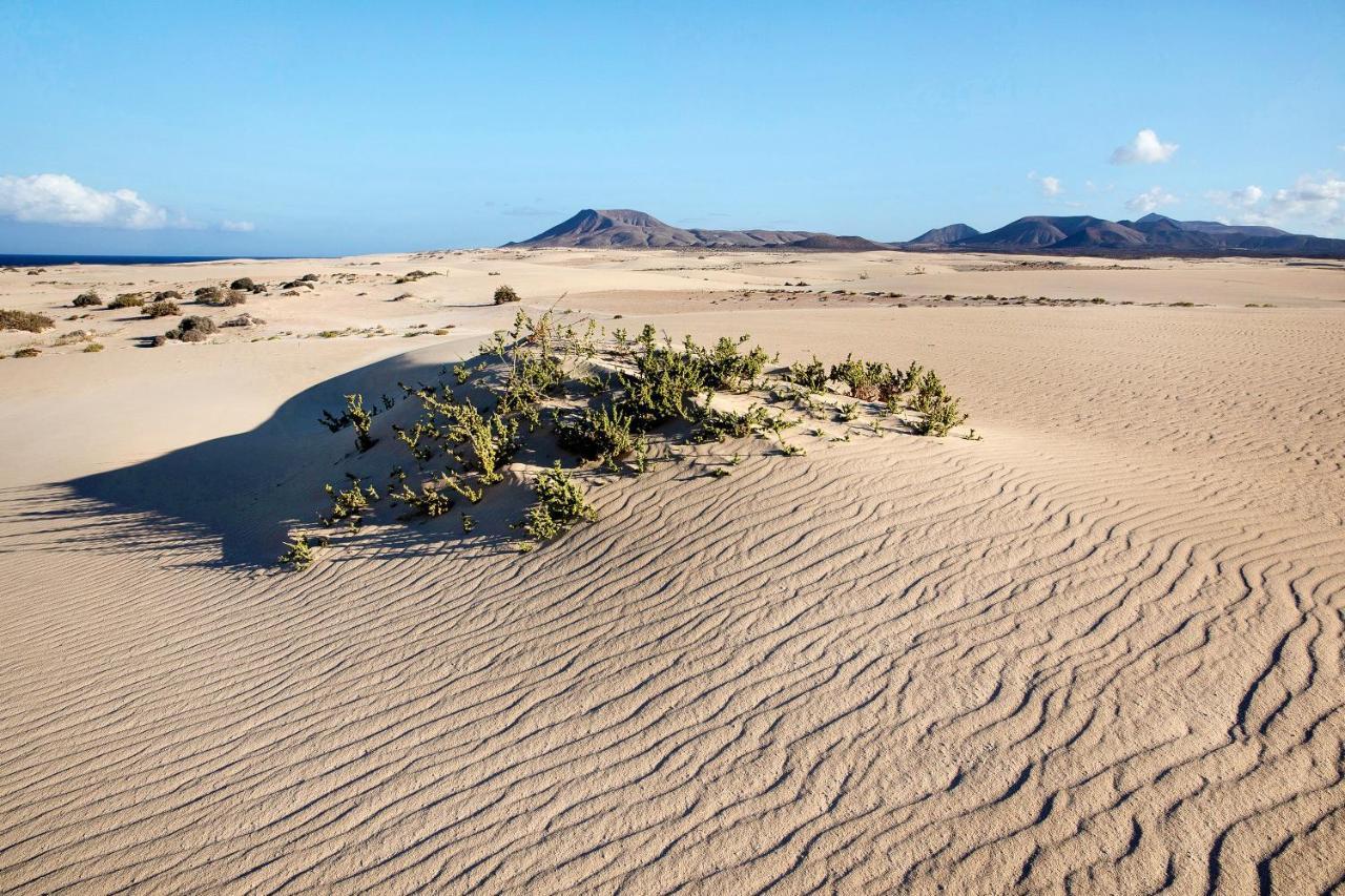 Villa Contenta Corralejo Ngoại thất bức ảnh